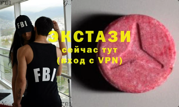 мдпв Богородицк
