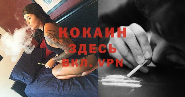 мдпв Богородицк