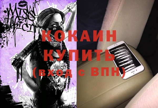 мдпв Богородицк